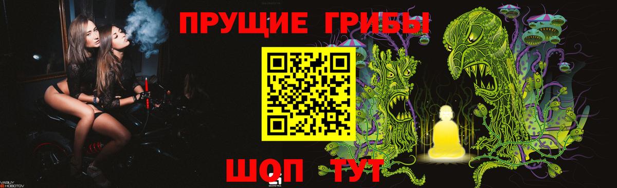 Орск  продажа наркотиков  Вход с VPN  Галлюциногенные грибы Psilocybe 